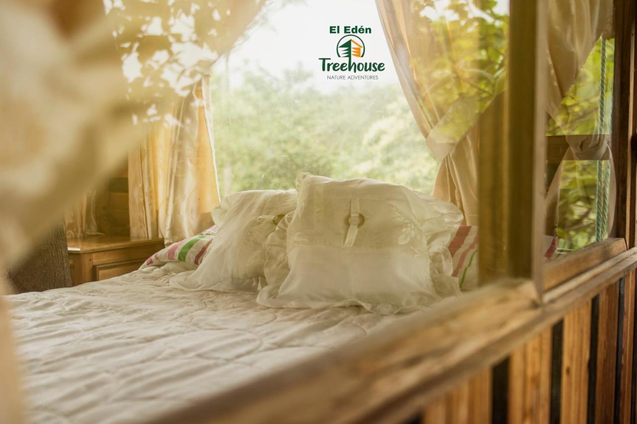 Eden Treehouse Villa Mindo Eksteriør bilde