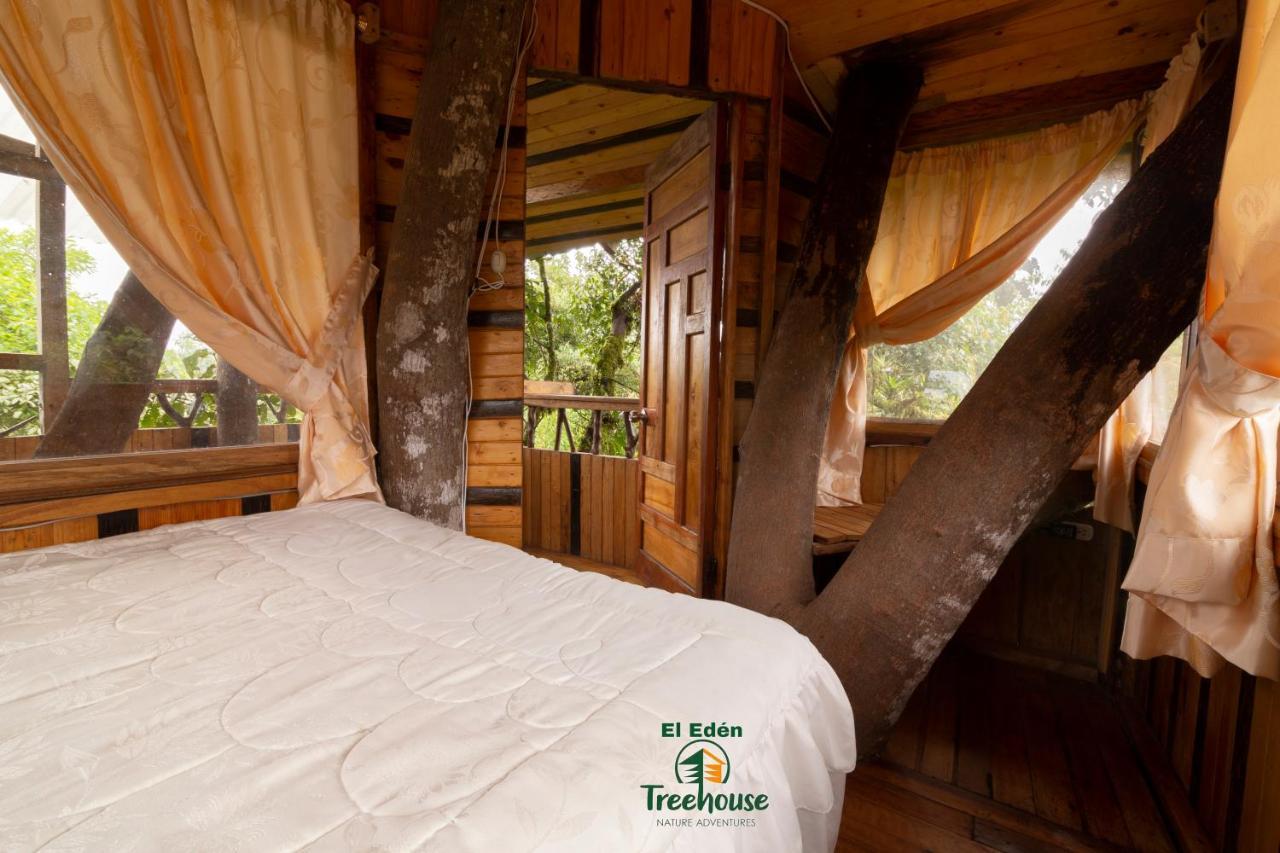 Eden Treehouse Villa Mindo Eksteriør bilde