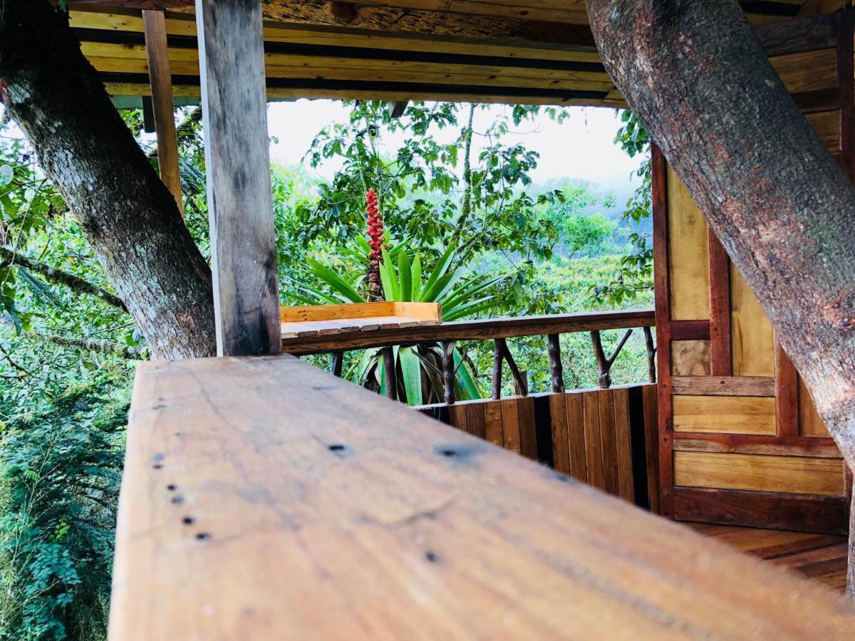 Eden Treehouse Villa Mindo Eksteriør bilde