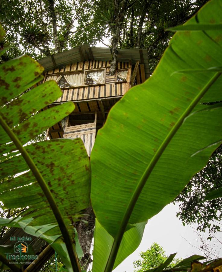Eden Treehouse Villa Mindo Eksteriør bilde