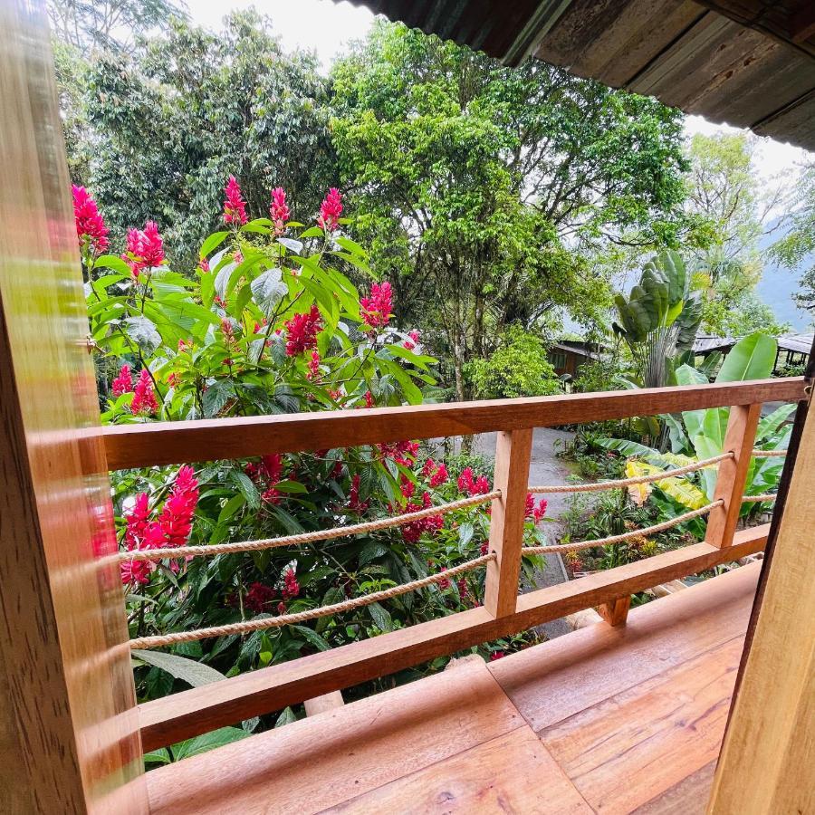 Eden Treehouse Villa Mindo Eksteriør bilde