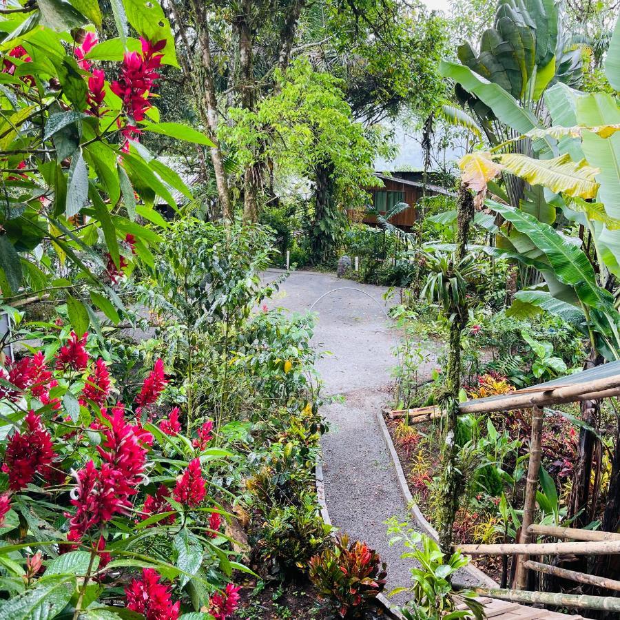Eden Treehouse Villa Mindo Eksteriør bilde