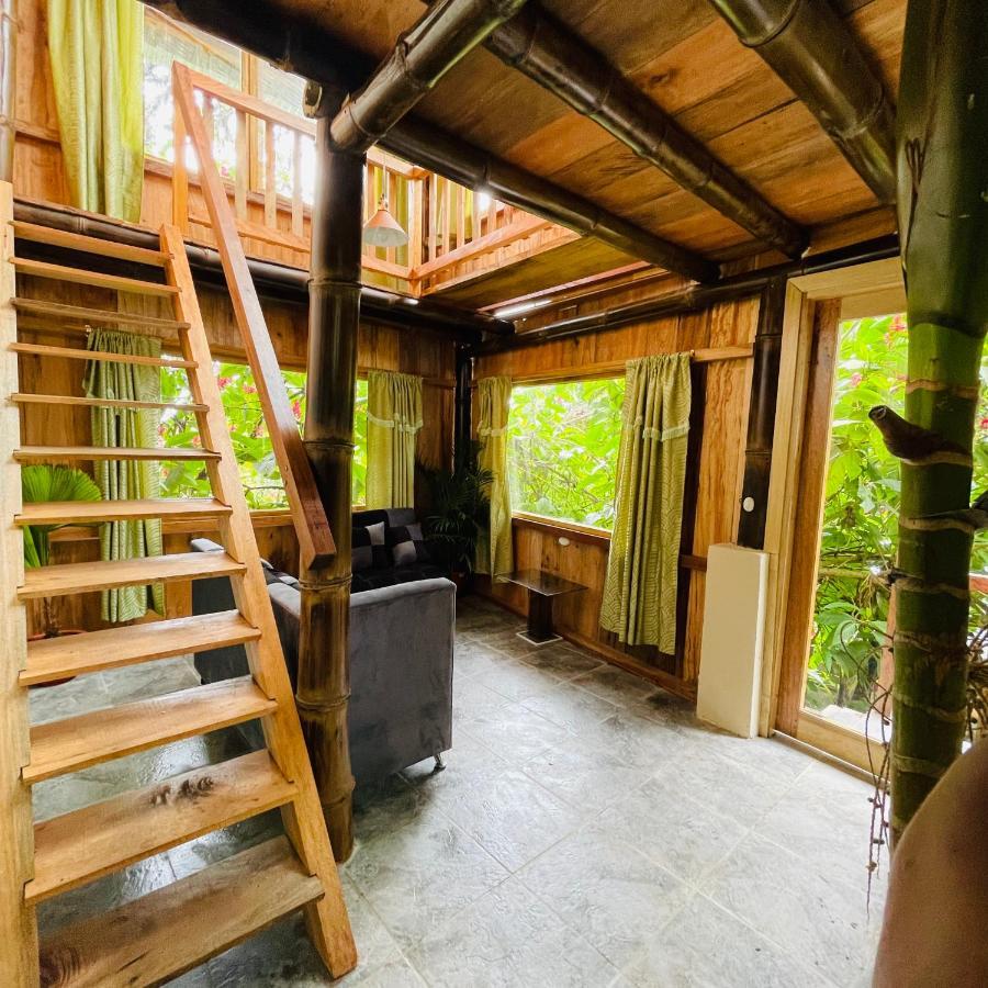 Eden Treehouse Villa Mindo Eksteriør bilde
