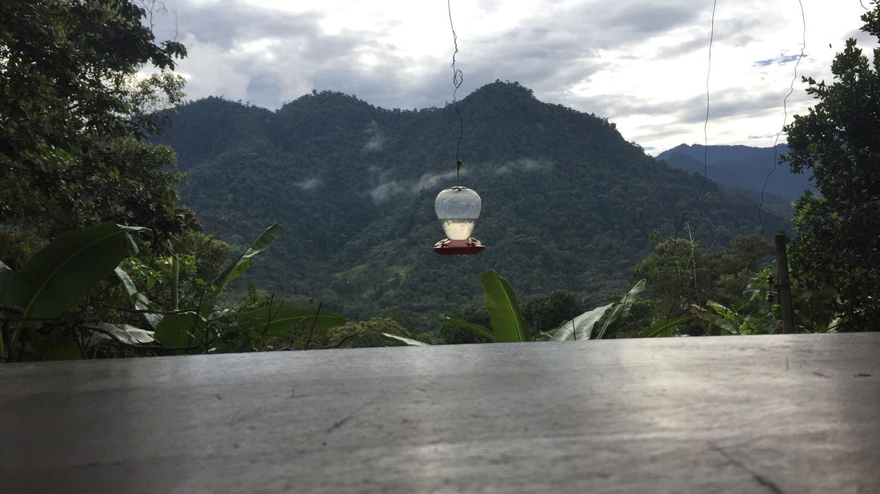 Eden Treehouse Villa Mindo Eksteriør bilde